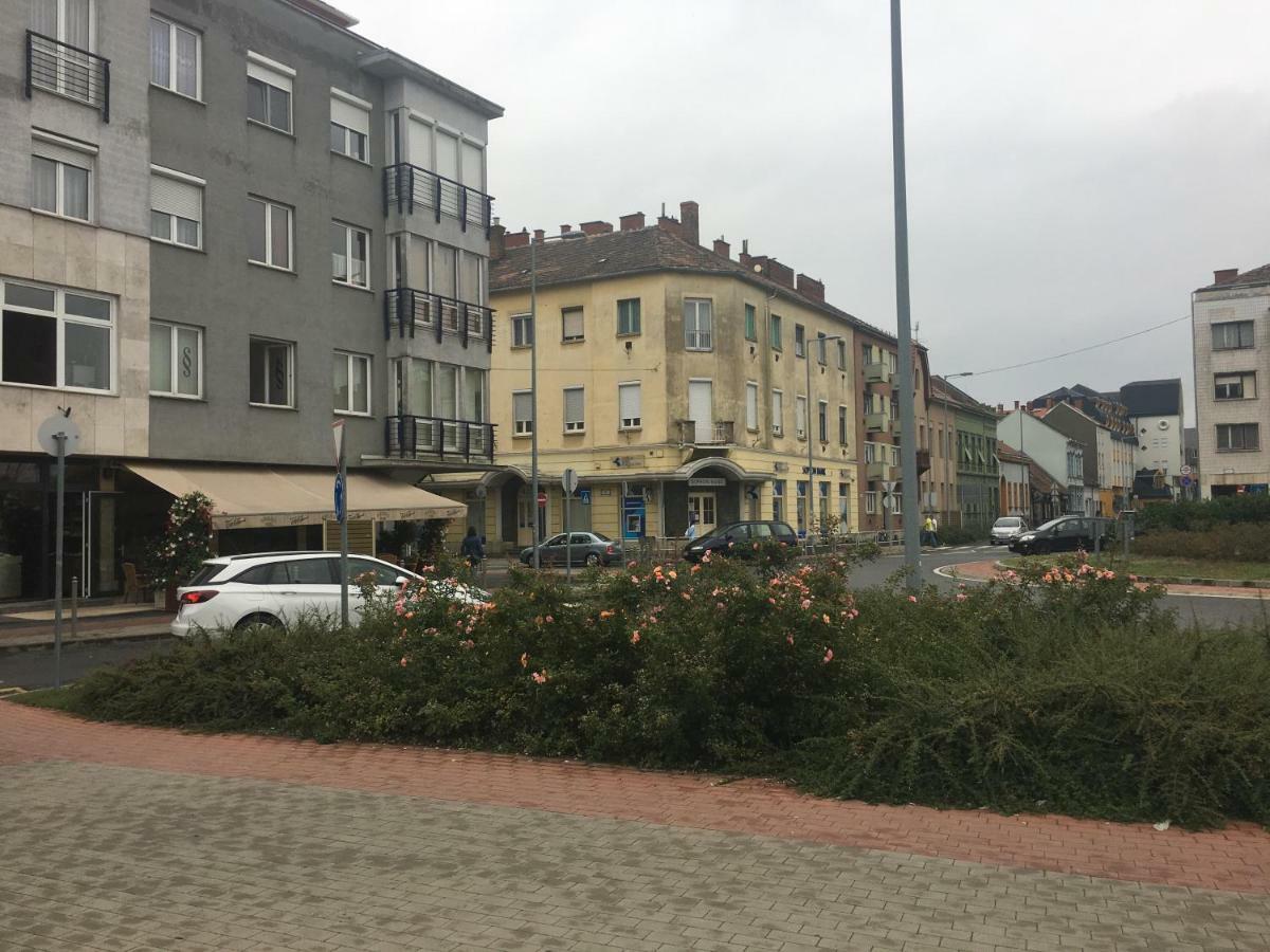 Szelestey Utcai *